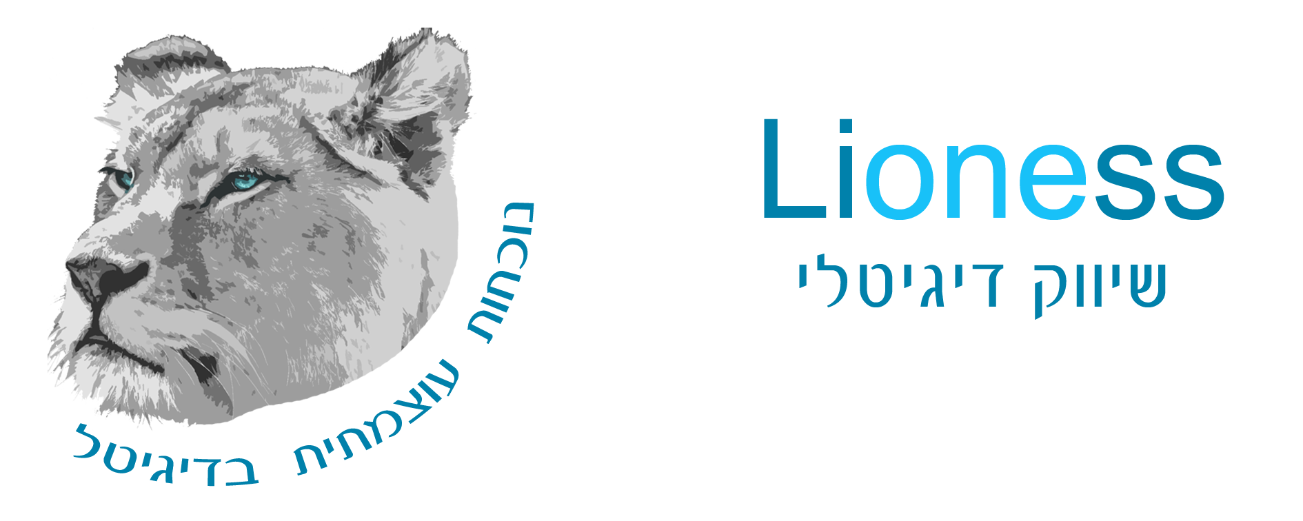 Lioness שיווק דיגיטלי 